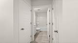 40130 Cordgrass Lane - Photo 11