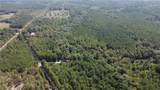 61 Acres Stein Road - Photo 4