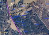  Olon Bankston Road - Photo 2
