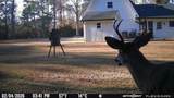 114 Hollow Hill Road - Photo 44