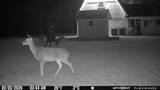 114 Hollow Hill Road - Photo 45