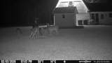 114 Hollow Hill Road - Photo 46