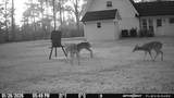 114 Hollow Hill Road - Photo 47