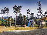  Greenville Trace - Photo 12