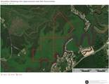 236 Acres River Pines Drive - Photo 1