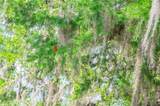 TBD Bedico Creek - Photo 21