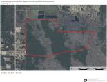 135 Acres Belle Woods Drive - Photo 1
