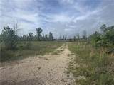 148 Acres Lost Oak Lane - Photo 2