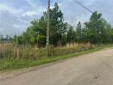 148 Acres Lost Oak Lane - Photo 3