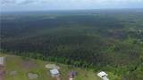 420 Acres Palmer Road - Photo 5