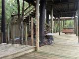 202-204 Camellia Drive - Photo 6