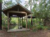 202-204 Camellia Drive - Photo 8