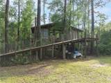 202-204 Camellia Drive - Photo 9