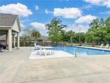 28461 Molly's Place - Photo 18