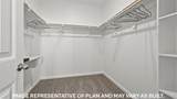 10164 Pearl Lane - Photo 13