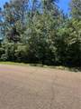  Esterbrook Acres Drive - Photo 3