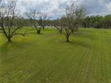 529 Lake Davis Road - Photo 4