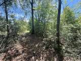46213 Otis Bickham Road - Photo 11