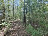 46213 Otis Bickham Road - Photo 12