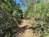 46213 Otis Bickham Road - Photo 15