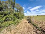 46213 Otis Bickham Road - Photo 16