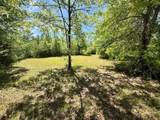 46213 Otis Bickham Road - Photo 5