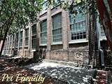 920 Poeyfarre Street - Photo 12