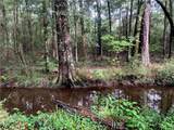 Lot 23 Five Acre Farms - Photo 2