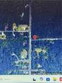 22052 St Amand Street - Photo 1