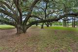 646 Fish Hatchery Road - Photo 14