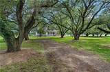 646 Fish Hatchery Road - Photo 8