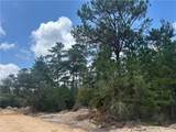  Pellegrin Drive - Photo 2