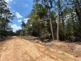  Pellegrin Drive - Photo 5