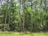 941 Albert Street - Photo 1