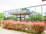 10555 Lake Forest Boulevard - Photo 7