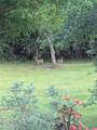 77211 River Road - Photo 47