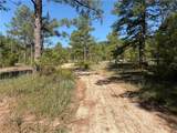 TBD Lot 3 Highway 25 Drive - Photo 2