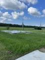 6557 Rue Louis Phillipe Street - Photo 4