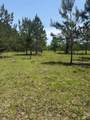  Boyd Road - Photo 7