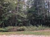 Lot 16 Crabapple Lane - Photo 1