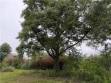 10315 Old Baton Rouge Highway - Photo 3