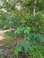  Daisy Street - Photo 5