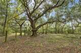 3019 English Turn Road - Photo 34