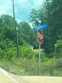  Chapman Drive - Photo 4
