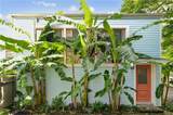 1433 Melpomene Street - Photo 2