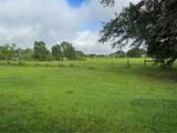 10346 Sonnywall Road - Photo 31