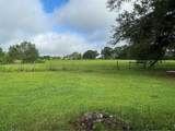 10346 Sonnywall Road - Photo 5