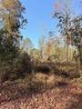 42217 Pasqua Road - Photo 1