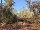 42217 Pasqua Road - Photo 3