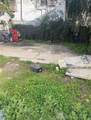 1329 Eagle Street - Photo 5